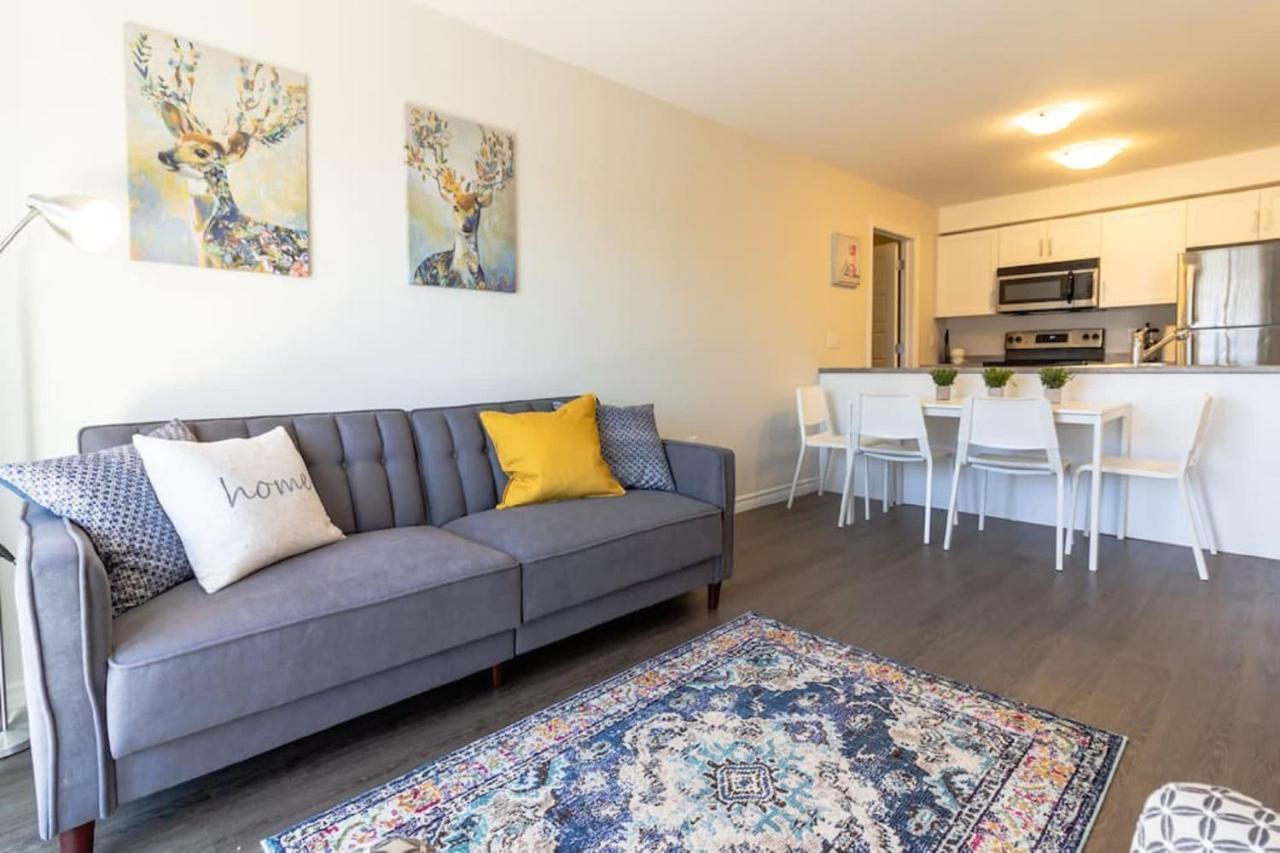 Newly Renovated Modern Condo Near Hospital, Unb Patio & Parking Coffee Saint John Dış mekan fotoğraf